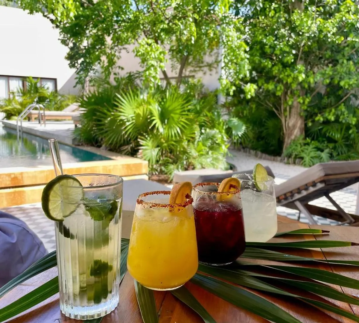 Faisano Boutique Hotel By Cruz Hoteles-Adults Only 图卢姆 墨西哥